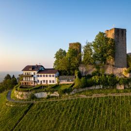 Burg Windeck ***S, hotel Bühlben