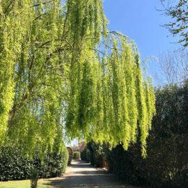 B&B Borgo di Pratavecchie