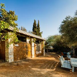 Back to Nature Camping & Huts، فندق في Mikhmannim