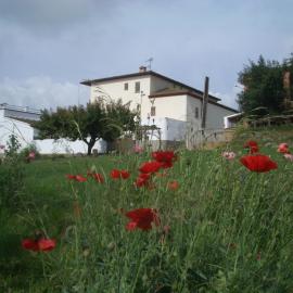 Mas Cabrit, hotel in Les Franqueses del Vallès