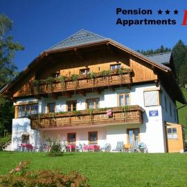 Appartements Pension Elfi, Hotel in Gosau