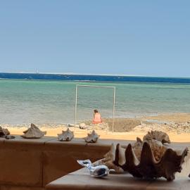 Coral Paradise Villa, hotel in Safaga