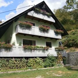 Apartment Žvan