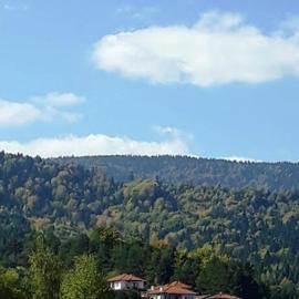 Вили Green, ξενοδοχείο σε Tsigov Chark