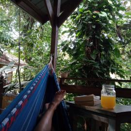 Jungle Paunch, hótel í Bocas Town