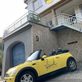 Villa Fink, hotel in Schramberg