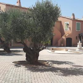 Vacance location mer piscine var sud terrasse