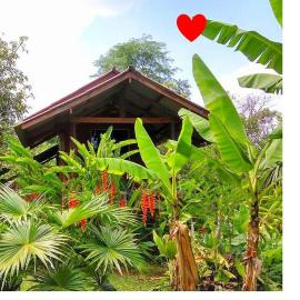 Pencave Homestay, hotelli kohteessa Pang Mapha