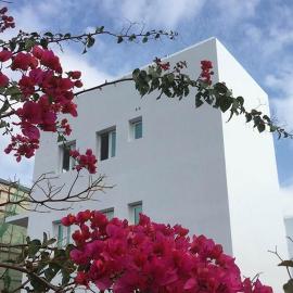 Blue House