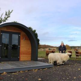 Glampods Glamping Pod - meet Highland Cows and Sheep Elgin, hotel en Elgin