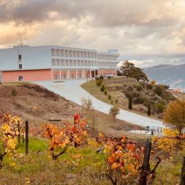 Plácido Hotel Douro - Tabuaço, hotel u gradu 'Tabuaço'