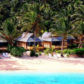 Palm Grove