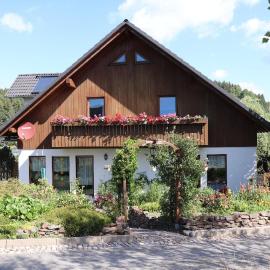 Ferienwohnung-Daeumler, hotel in Breitenbrunn