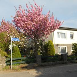Sch ne Wohnung in Kr pelin in der N he von Meer