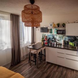 GottwaldHaus - Apartment