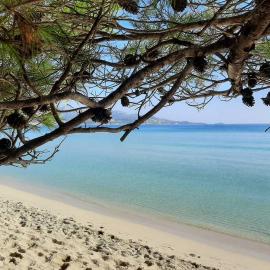 Apartment Francesca Beach with Pool in Playa de Alcudia