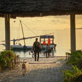 Butiama Marine Camp, hotel v destinácii Utende