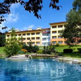 Klostermann Wellness&Spa, hotel in Frymburk