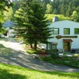 Pension Waldidyll, hotel in Stützerbach