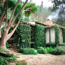 Finca La Mara
