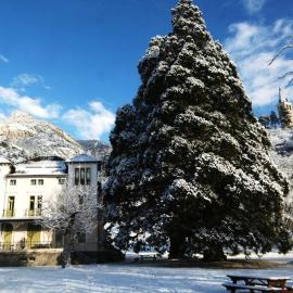 VILLA SEQUOIA