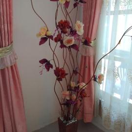 Homestay Anggur