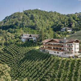Panorama Hotel Garni Bühlerhof