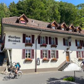 Historic Hotel Steinbock, hotel a Wilderswil