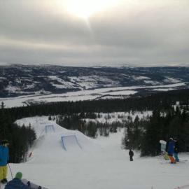 Åre-Bjørnen Falken 17A