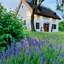 Kál Kőve Vendégház és Bortéka, hotel in Köveskál