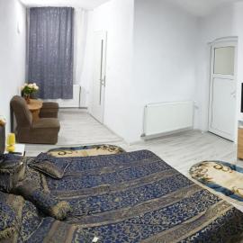 Casa Cristea, hotel din Daneș