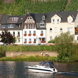 Mosel Panorama, hotel v destinácii Zell an der Mosel