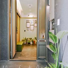 Morn forest apartment