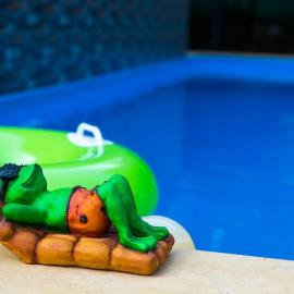 Lazy Frog Guest House, hotel u gradu Cavelossim
