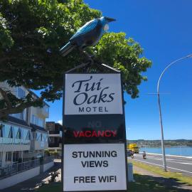 Tui Oaks Motel, hotel a Taupo