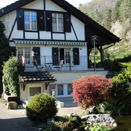 Bis Bosserte، فندق في Kollbrunn