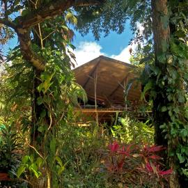 Cascada Verde Eco Lodge & Hostel, hotel a Uvita