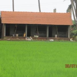 Ocean Sparrow Home Stay