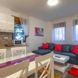 Apartman Gavrilov 3