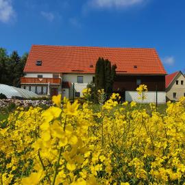 Alte Schäferei Bad Gottleuba, hotel u gradu Bad Gotlojba