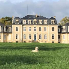 Chambre Zen - Château de la Bouchatte, Hotel in Chazemais