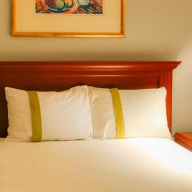 Suites Bajío, hotel u gradu Leon