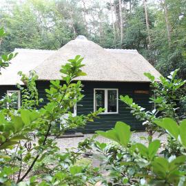 Vakantiehuis 't Musje, hotel in Epe