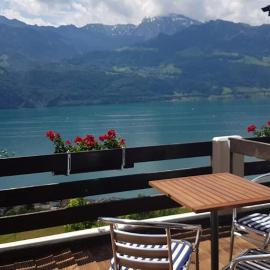 Gasthaus Platten, hotell i Gersau