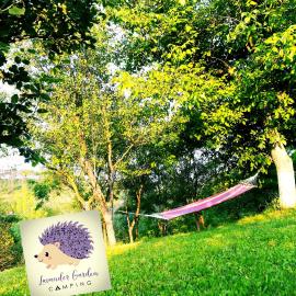 Viesnīca Lavander Garden pilsētā Răscruci