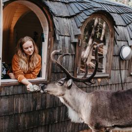 Viesnīca Igluhut – Sleep with reindeer Espo