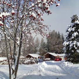 Chalet calme