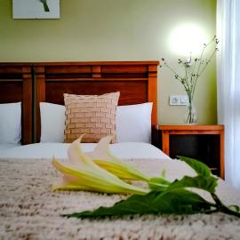 Hotel Pugide，利亞內斯的飯店