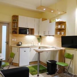 Apartmán 466
