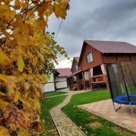 "Карпатський краєвид"